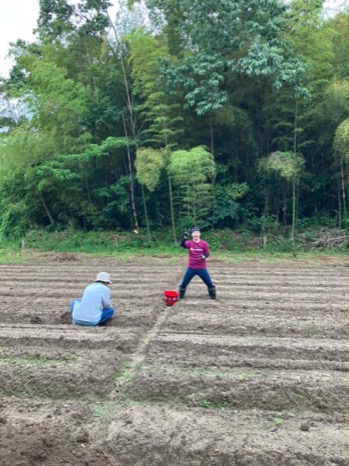 竹林を背に、畝の整った広い畑で作業するスタッフとキャスト