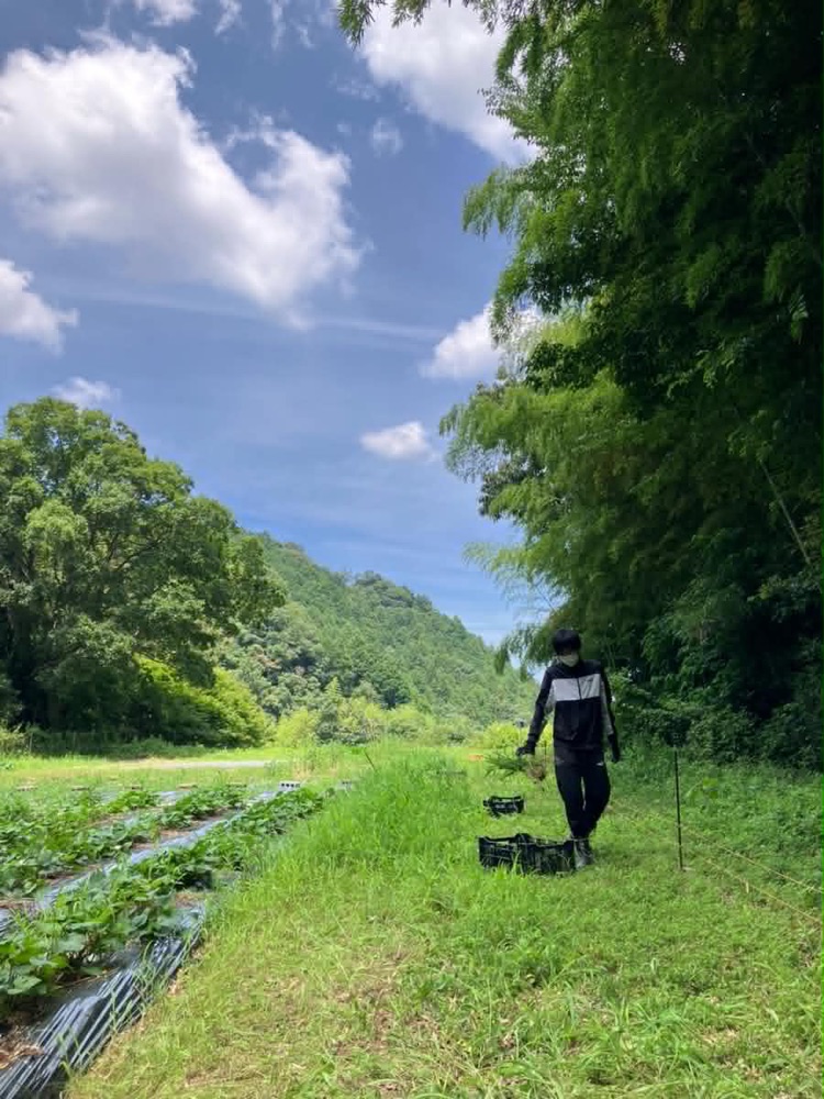 青空の下、道具を持って畑への小道を歩くキャスト