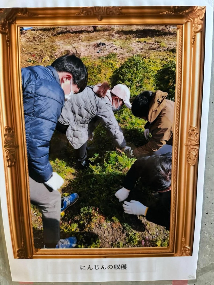 畑に集まってにんじんを収穫するみなさん