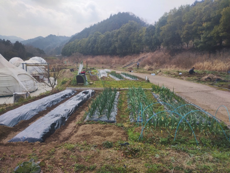 農園に沿って伸びる道と、周囲の里山の風景